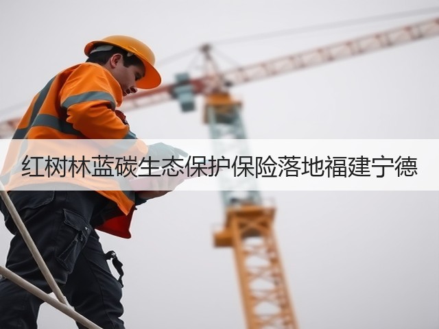 红树林蓝碳生态保护保险落地福建宁德(图1)