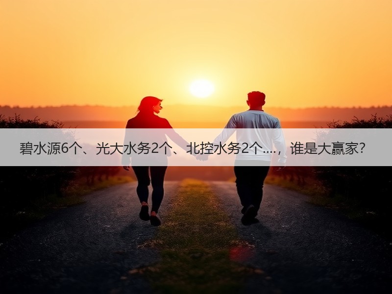 碧水源6个、光大水务2个、北控水务2个....，谁是大赢家？