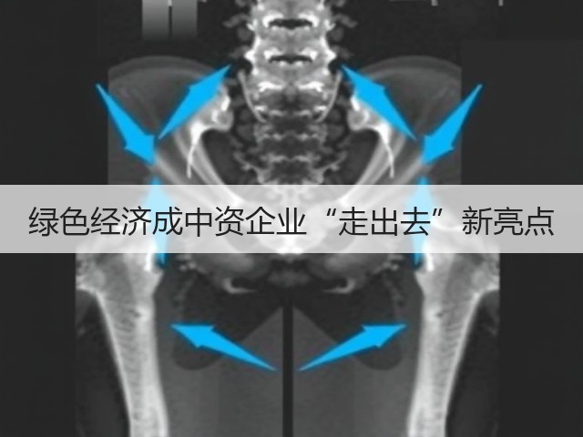 绿色经济成中资企业“走出去”新亮点(图3)