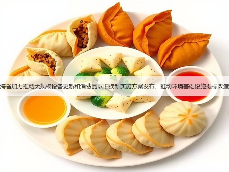 青海省加力推动大规模设备更新和消费品以旧换新实施方案发布，推动环境基础设施提标改造！