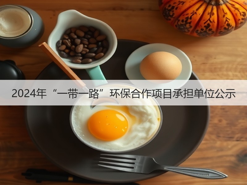 2024年“一带一路”环保合作项目承担单位公示