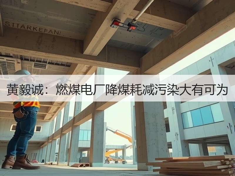 黄毅诚：燃煤电厂降煤耗减污染大有可为