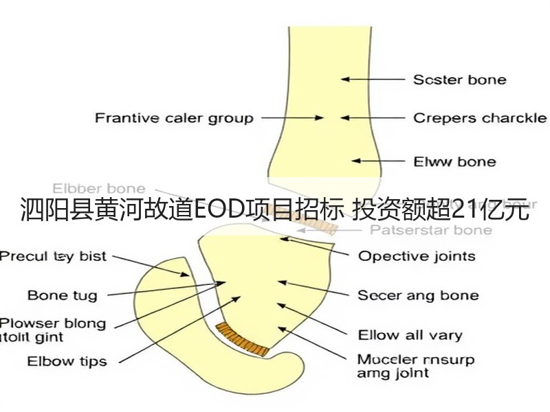 泗阳县黄河故道EOD项目招标 投资额超21亿元 泗阳县黄河故道EOD项目招标 投资额超21亿元