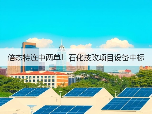 倍杰特连中两单!石化技改项目设备中标(图2) 倍杰特连中两单!石化技改项目设备中标(图2)