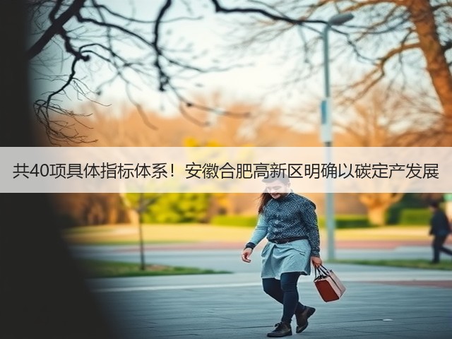 共40项具体指标体系!安徽合肥高新区明确以碳定产发展(图3) 共40项具体指标体系!安徽合肥高新区明确以碳定产发展(图3)