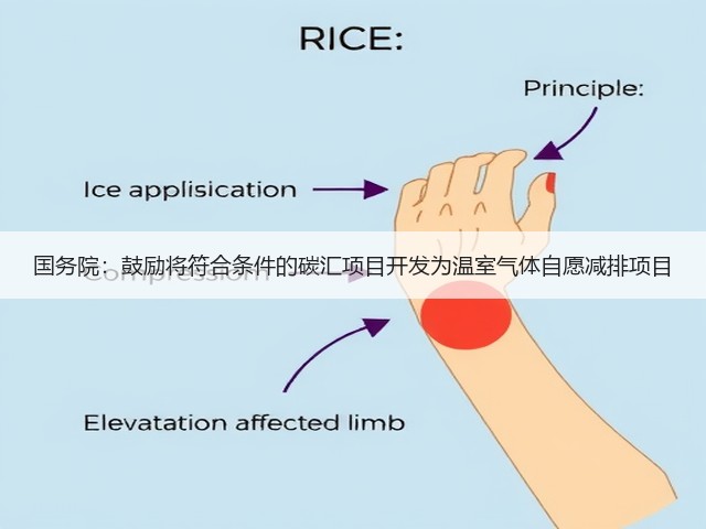 国务院:鼓励将符合条件的碳汇项目开发为温室气体自愿减排项目(图2) 国务院:鼓励将符合条件的碳汇项目开发为温室气体自愿减排项目(图2)