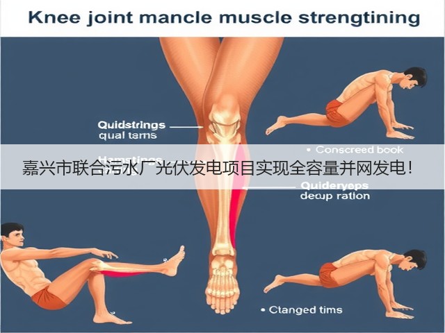 嘉兴市联合污水厂光伏发电项目实现全容量并网发电!(图3) 嘉兴市联合污水厂光伏发电项目实现全容量并网发电!(图3)