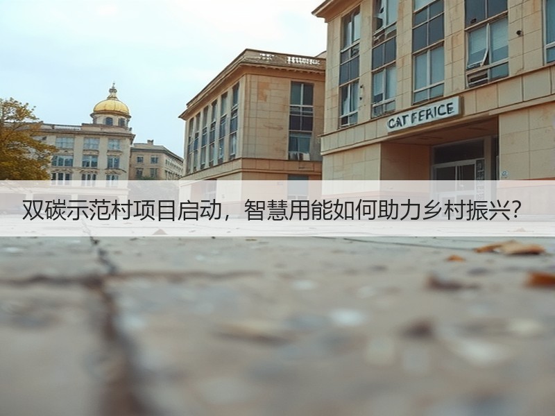 双碳示范村项目启动,智慧用能如何助力乡村振兴? 双碳示范村项目启动,智慧用能如何助力乡村振兴?