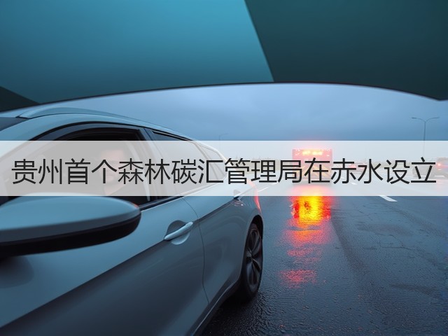 贵州首个森林碳汇管理局在赤水设立(图3) 贵州首个森林碳汇管理局在赤水设立(图3)
