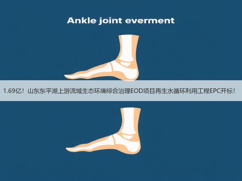 1.69亿！山东东平湖上游流域生态环境综合治理EOD项目再生水循环利用工程EPC开标！