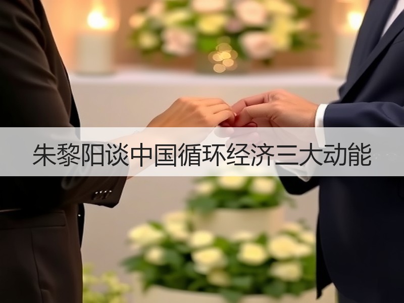 朱黎阳谈中国循环经济三大动能