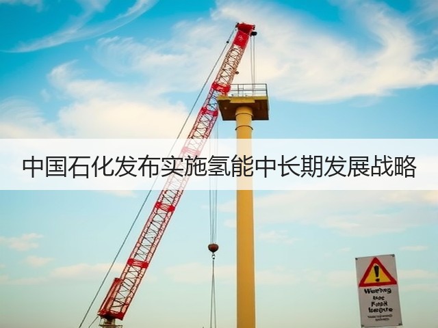 中国石化发布实施氢能中长期发展战略(图2) 中国石化发布实施氢能中长期发展战略(图2)