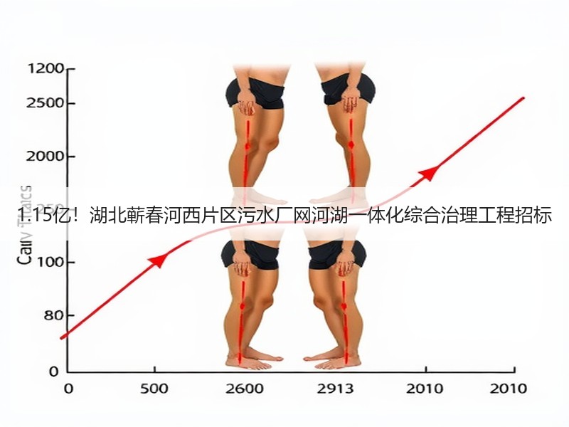 1.15亿!湖北蕲春河西片区污水厂网河湖一体化综合治理工程招标 1.15亿!湖北蕲春河西片区污水厂网河湖一体化综合治理工程招标