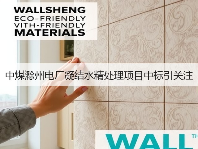 中煤滁州电厂凝结水精处理项目中标引关注(图1) 中煤滁州电厂凝结水精处理项目中标引关注(图1)