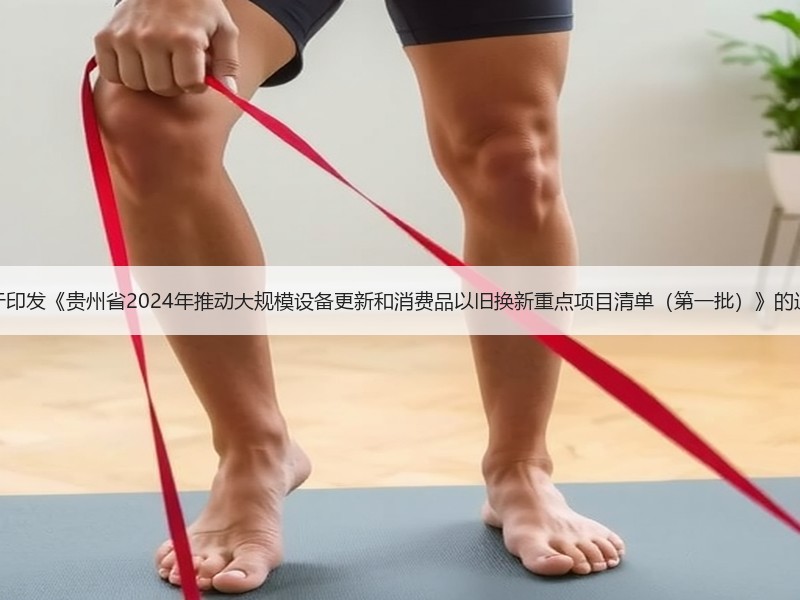 关于印发《贵州省2024年推动大规模设备更新和消费品以旧换新重点项目清单（第一批）》的通知