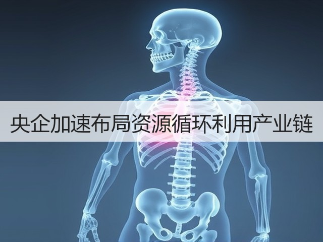 央企加速布局资源循环利用产业链(图3) 央企加速布局资源循环利用产业链(图3)