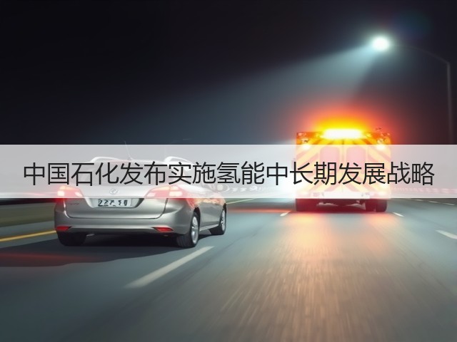 中国石化发布实施氢能中长期发展战略(图3) 中国石化发布实施氢能中长期发展战略(图3)