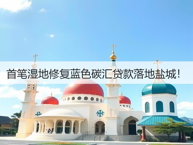 首笔湿地修复蓝色碳汇贷款落地盐城！