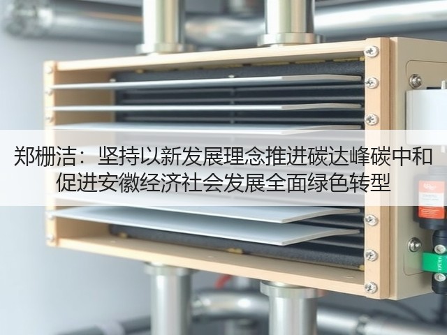 郑栅洁：坚持以新发展理念推进碳达峰碳中和 促进安徽经济社会发展全面绿色转型(图2)