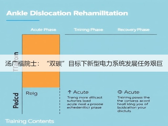 汤广福院士：“双碳”目标下新型电力系统发展任务艰巨(图1)