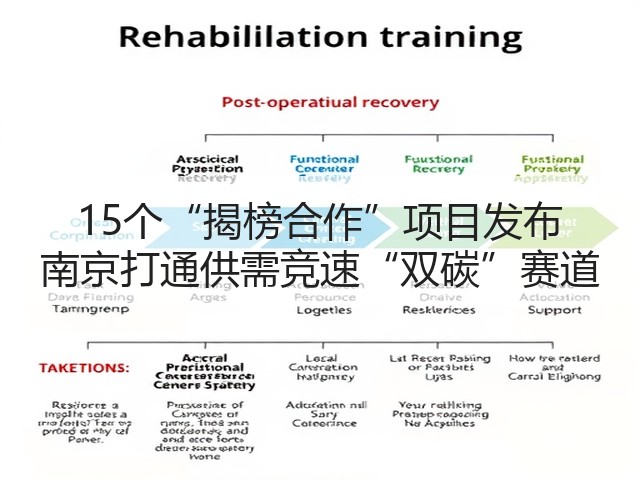 15个“揭榜合作”项目发布 南京打通供需竞速“双碳”赛道(图1)