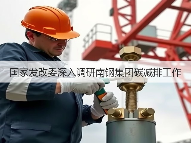 国家发改委深入调研南钢集团碳减排工作(图2) 国家发改委深入调研南钢集团碳减排工作(图2)