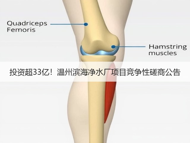 投资超33亿！温州滨海净水厂项目竞争性磋商公告(图3)
