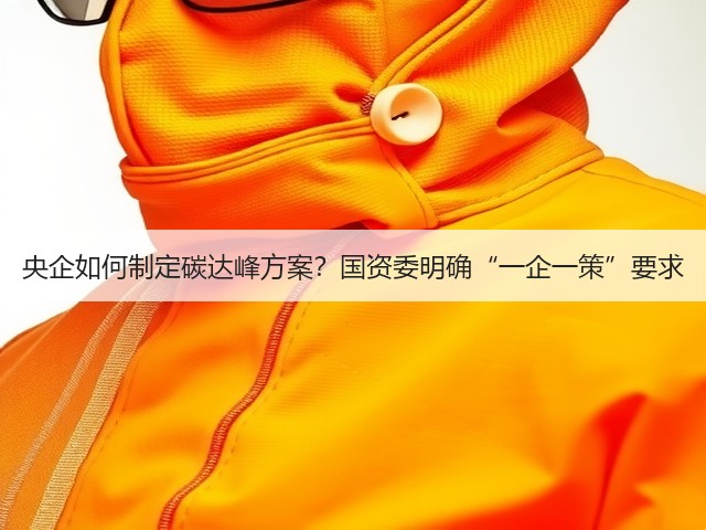 央企如何制定碳达峰方案?国资委明确“一企一策”要求(图2) 央企如何制定碳达峰方案?国资委明确“一企一策”要求(图2)