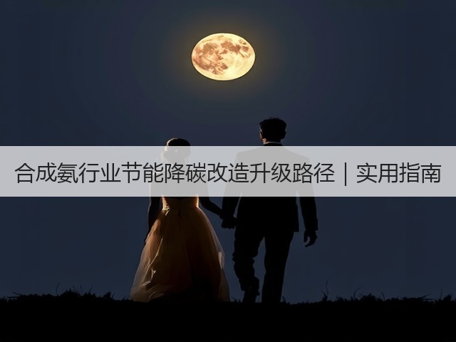合成氨行业节能降碳改造升级路径｜实用指南(图2)