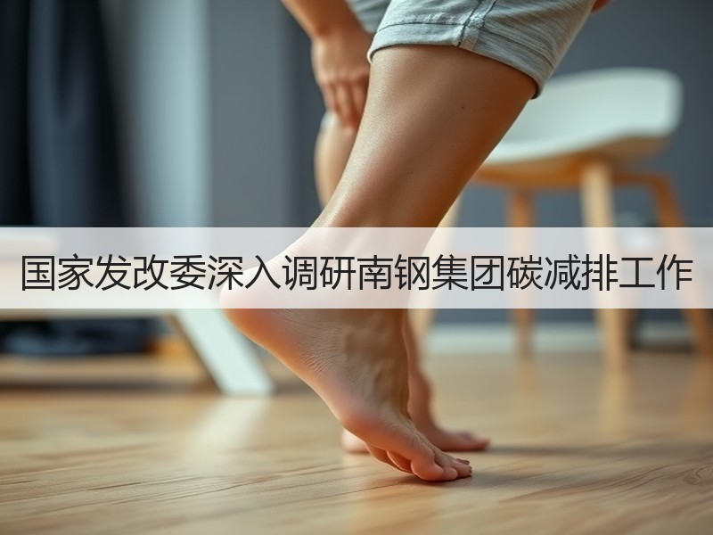 国家发改委深入调研南钢集团碳减排工作 国家发改委深入调研南钢集团碳减排工作