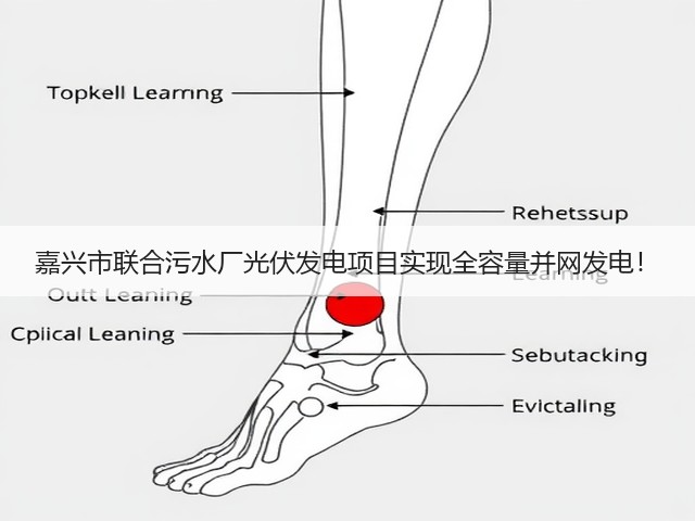 嘉兴市联合污水厂光伏发电项目实现全容量并网发电！(图3)