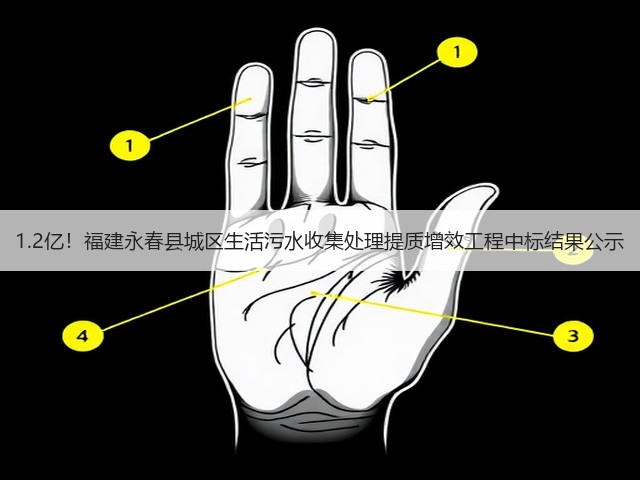 1.2亿!福建永春县城区生活污水收集处理提质增效工程中标结果公示(图2) 1.2亿!福建永春县城区生活污水收集处理提质增效工程中标结果公示(图2)