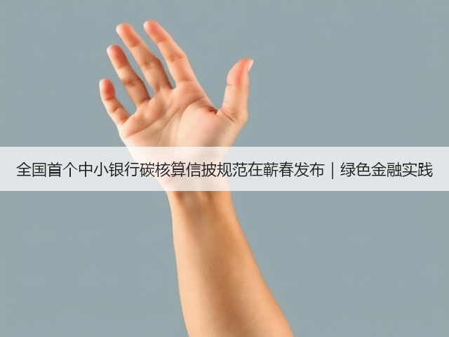 全国首个中小银行碳核算信披规范在蕲春发布|绿色金融实践(图1) 全国首个中小银行碳核算信披规范在蕲春发布|绿色金融实践(图1)
