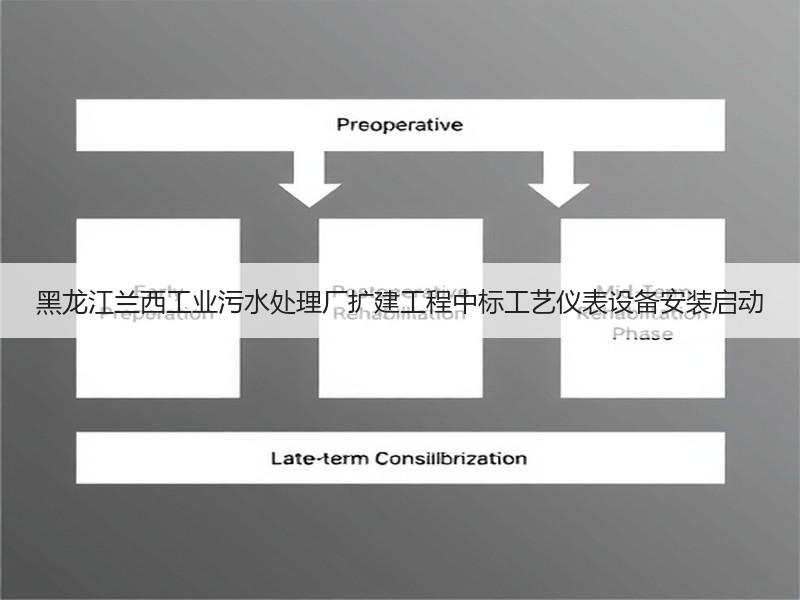 黑龙江兰西工业污水处理厂扩建工程中标工艺仪表设备安装启动