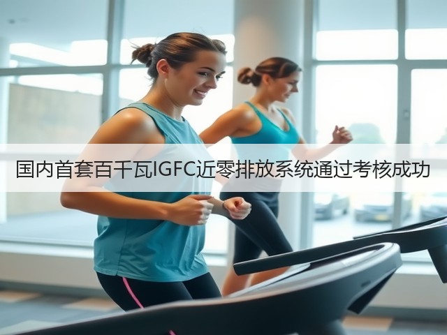 国内首套百千瓦IGFC近零排放系统通过考核成功(图2) 国内首套百千瓦IGFC近零排放系统通过考核成功(图2)