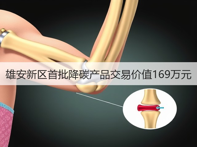 雄安新区首批降碳产品交易价值169万元(图1) 雄安新区首批降碳产品交易价值169万元(图1)