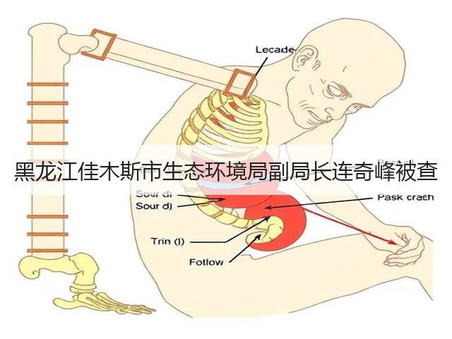 黑龙江佳木斯市生态环境局副局长连奇峰被查(图1) 黑龙江佳木斯市生态环境局副局长连奇峰被查(图1)