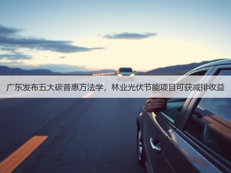 广东发布五大碳普惠方法学，林业光伏节能项目可获减排收益