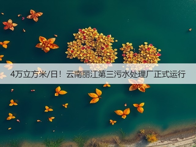 4万立方米/日!云南丽江第三污水处理厂正式运行(图3) 4万立方米/日!云南丽江第三污水处理厂正式运行(图3)