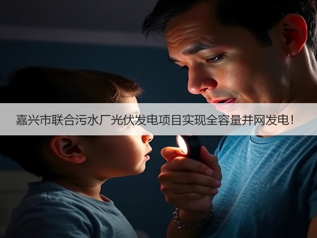 嘉兴市联合污水厂光伏发电项目实现全容量并网发电！(图3)