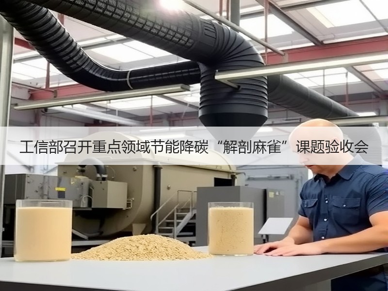 工信部召开重点领域节能降碳“解剖麻雀”课题验收会 工信部召开重点领域节能降碳“解剖麻雀”课题验收会