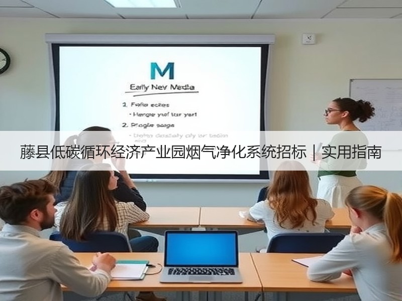 藤县低碳循环经济产业园烟气净化系统招标|实用指南 藤县低碳循环经济产业园烟气净化系统招标|实用指南