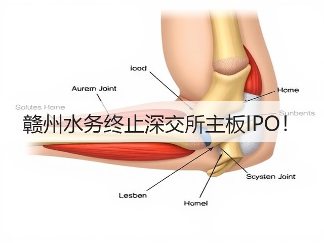 赣州水务终止深交所主板IPO!(图1) 赣州水务终止深交所主板IPO!(图1)