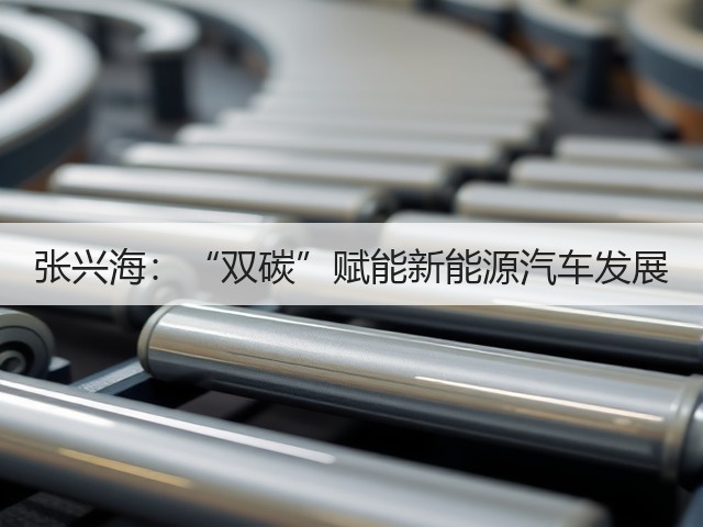 张兴海：“双碳”赋能新能源汽车发展(图3)