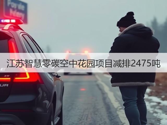 江苏智慧零碳空中花园项目减排2475吨(图3) 江苏智慧零碳空中花园项目减排2475吨(图3)