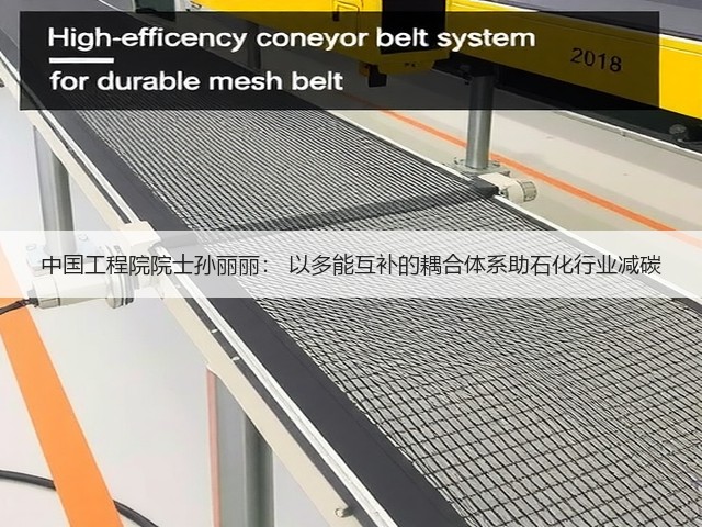 中国工程院院士孙丽丽: 以多能互补的耦合体系助石化行业减碳(图1) 中国工程院院士孙丽丽: 以多能互补的耦合体系助石化行业减碳(图1)