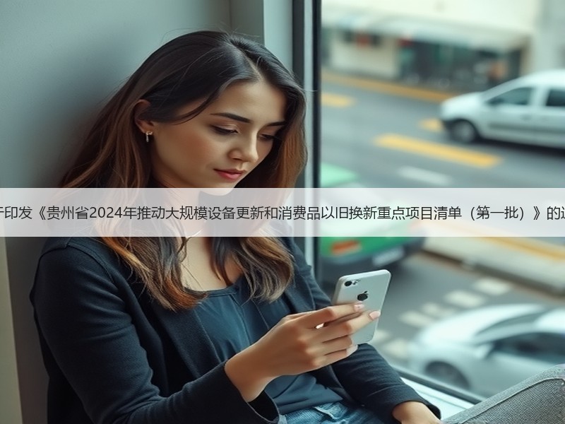 关于印发《贵州省2024年推动大规模设备更新和消费品以旧换新重点项目清单（第一批）》的通知
