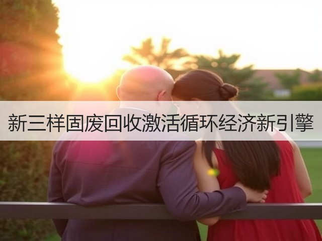 新三样固废回收激活循环经济新引擎(图2) 新三样固废回收激活循环经济新引擎(图2)