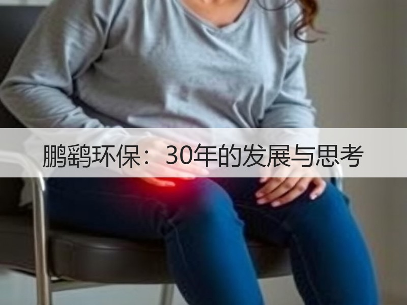 鹏鹞环保:30年的发展与思考 鹏鹞环保:30年的发展与思考