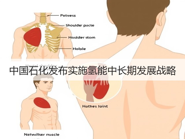 中国石化发布实施氢能中长期发展战略(图2) 中国石化发布实施氢能中长期发展战略(图2)